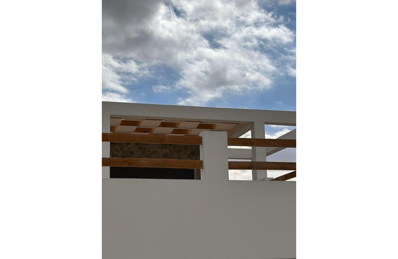 New Build - Villa - Pinoso - Casas Pastor