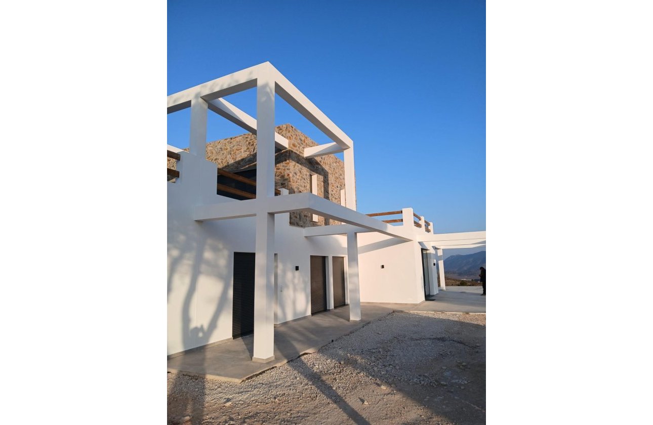 New Build - Villa - Pinoso - Casas Pastor