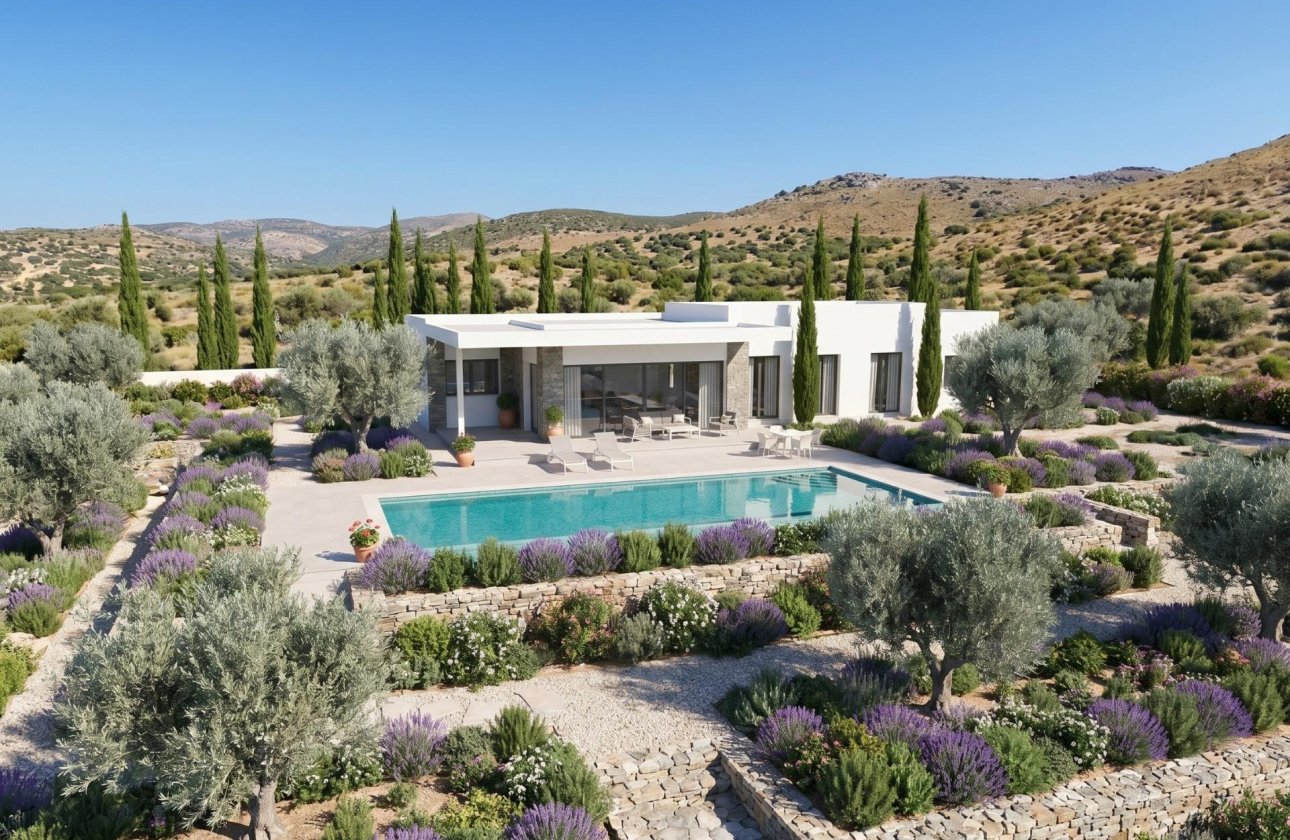 New Build - Villa - Pinoso - Casas Pastor