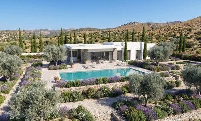 New Build - Villa - Pinoso - Casas Pastor