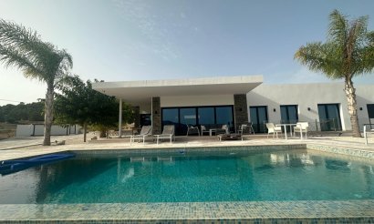 New Build - Villa - Pinoso - Casas Pastor