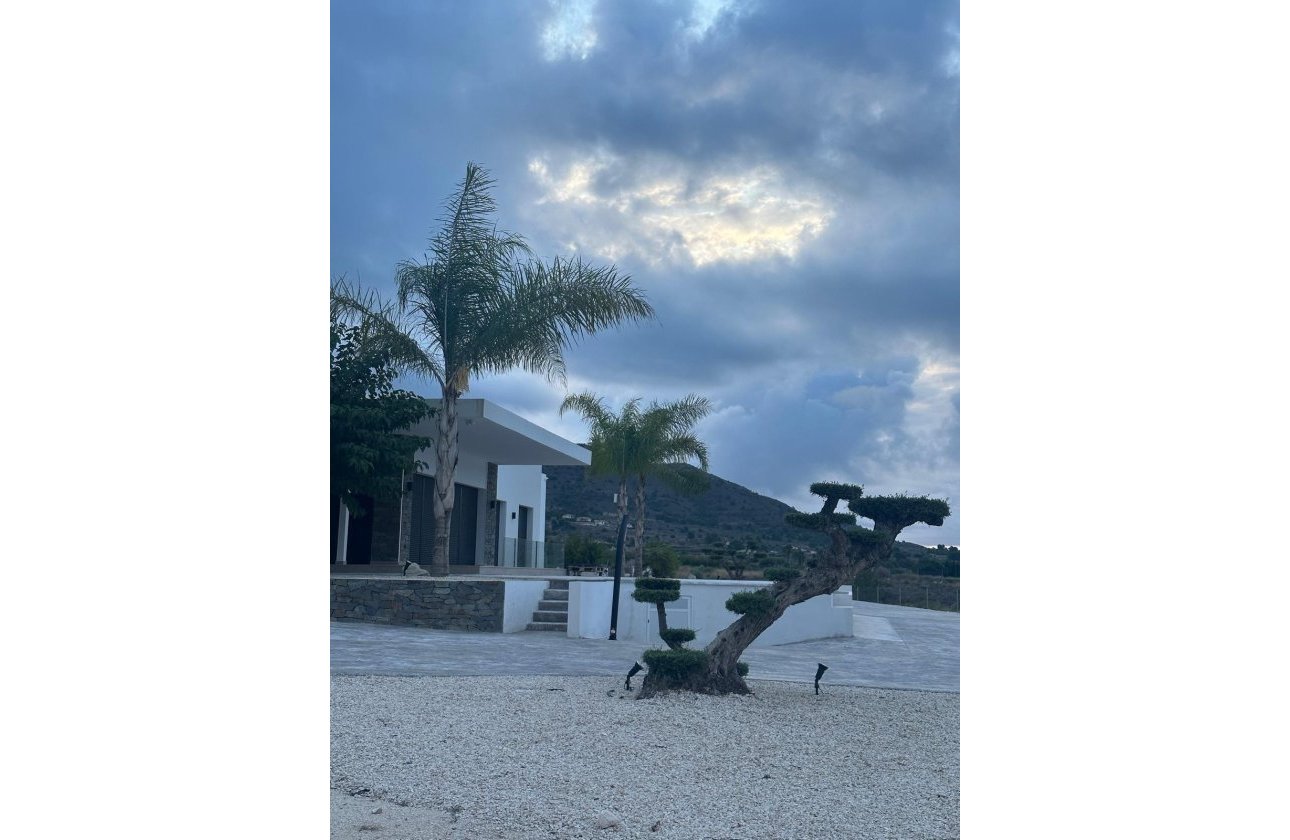 New Build - Villa - Pinoso - Casas Pastor
