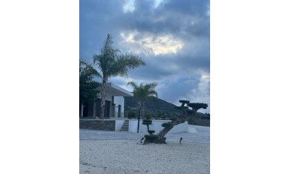 New Build - Villa - Pinoso - Casas Pastor