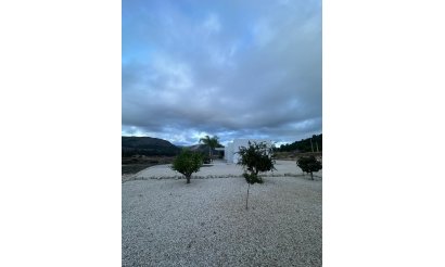 New Build - Villa - Pinoso - Casas Pastor