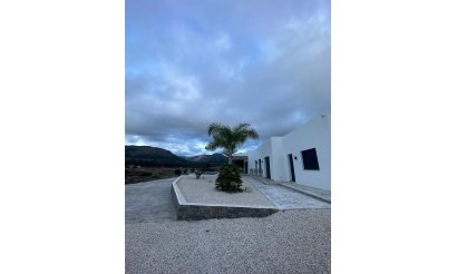 New Build - Villa - Pinoso - Casas Pastor