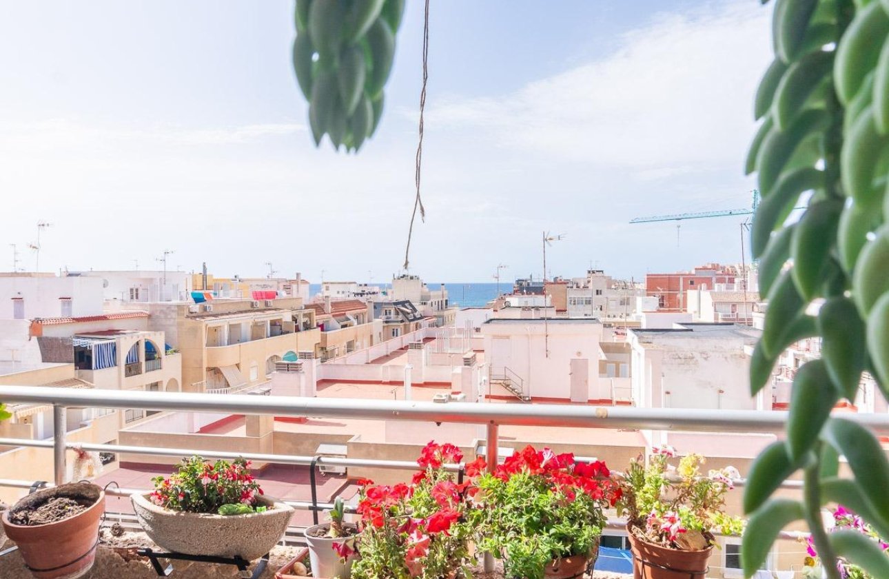 Reventa - Apartamento / piso - Torrevieja - Centro
