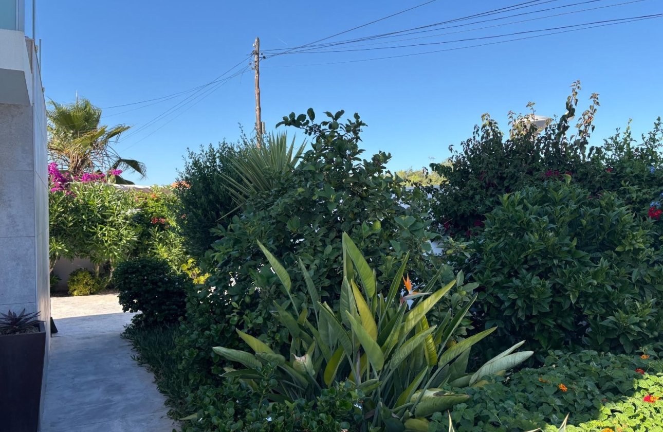 Resale - Villa - Torrevieja - La Siesta
