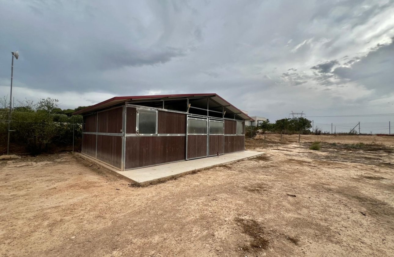Resale - Villa - San Fulgencio - San Fulgencio - Country