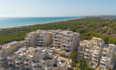 Reventa - Apartamento / piso - Guardamar del Segura
