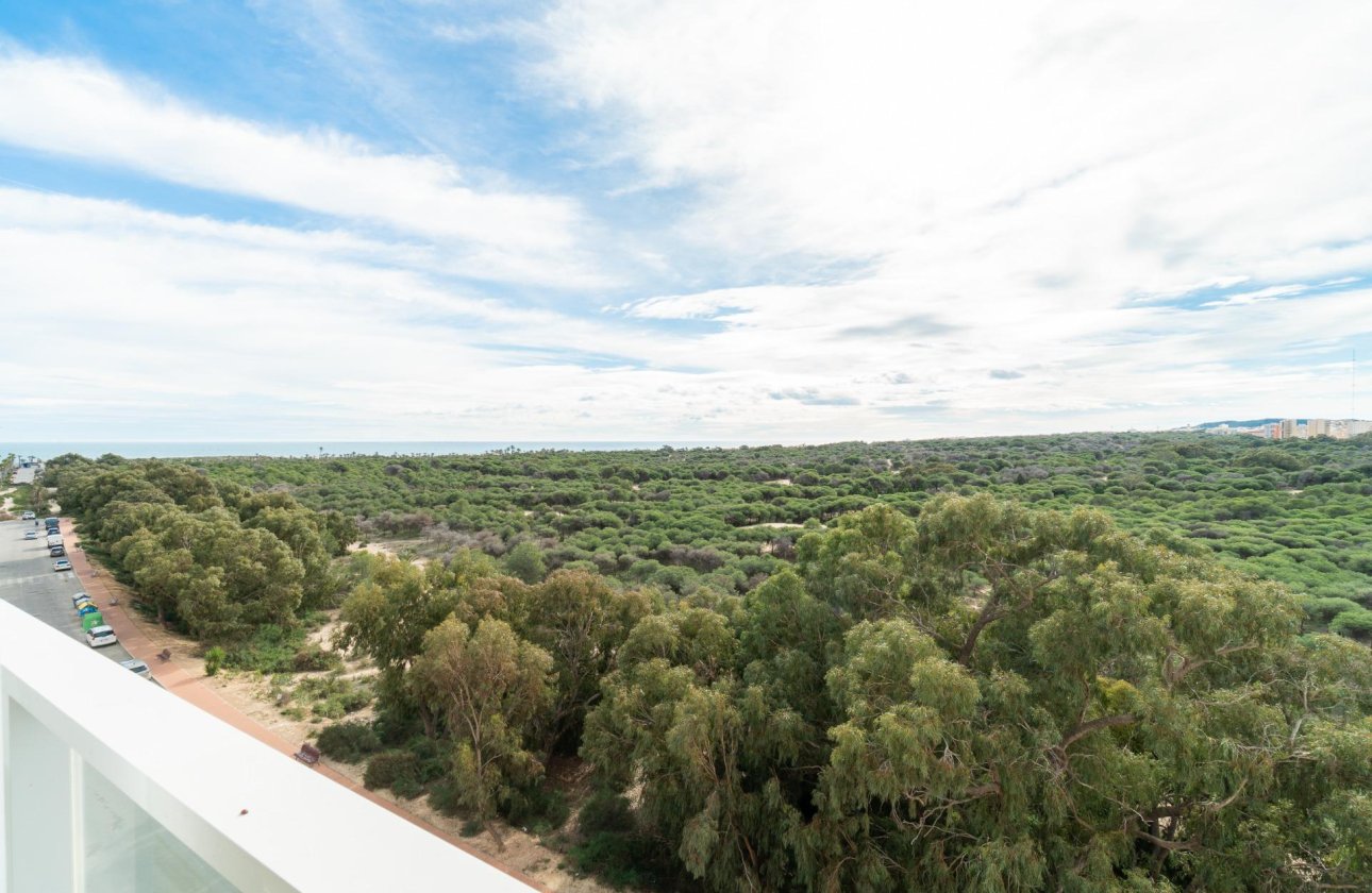 Resale - Apartment / flat - Guardamar del Segura - Guardamar