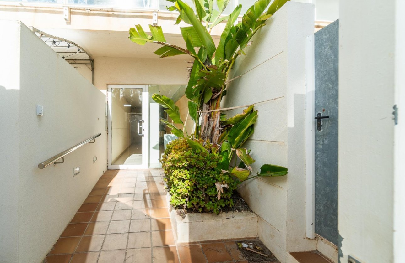 Resale - Apartment / flat - Guardamar del Segura - Guardamar