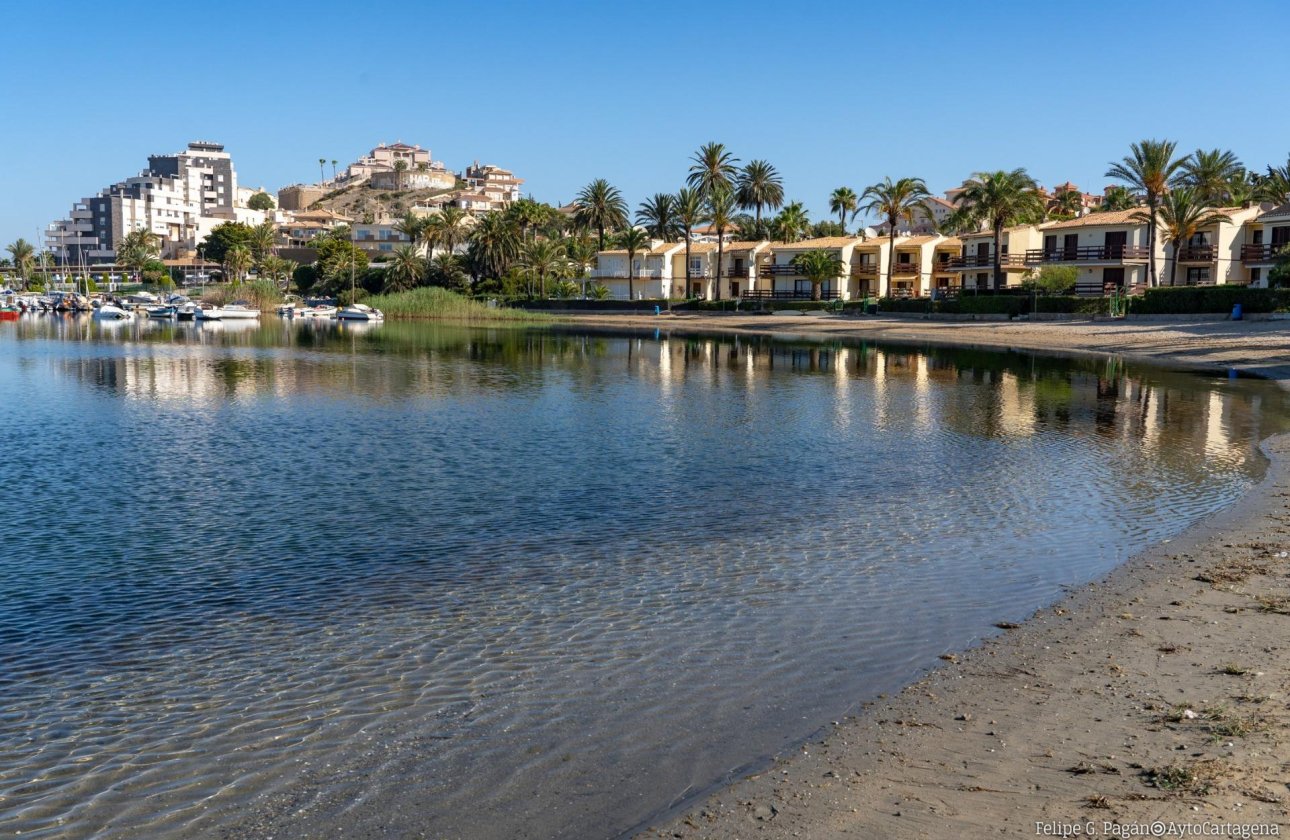 Obra nueva - Bungalow - La Manga Club