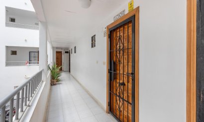 Resale - Studio - Torrevieja - Torreblanca