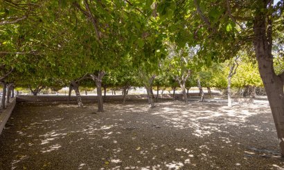 Resale - Bungalow - Torrevieja - Playa de los Naufragos