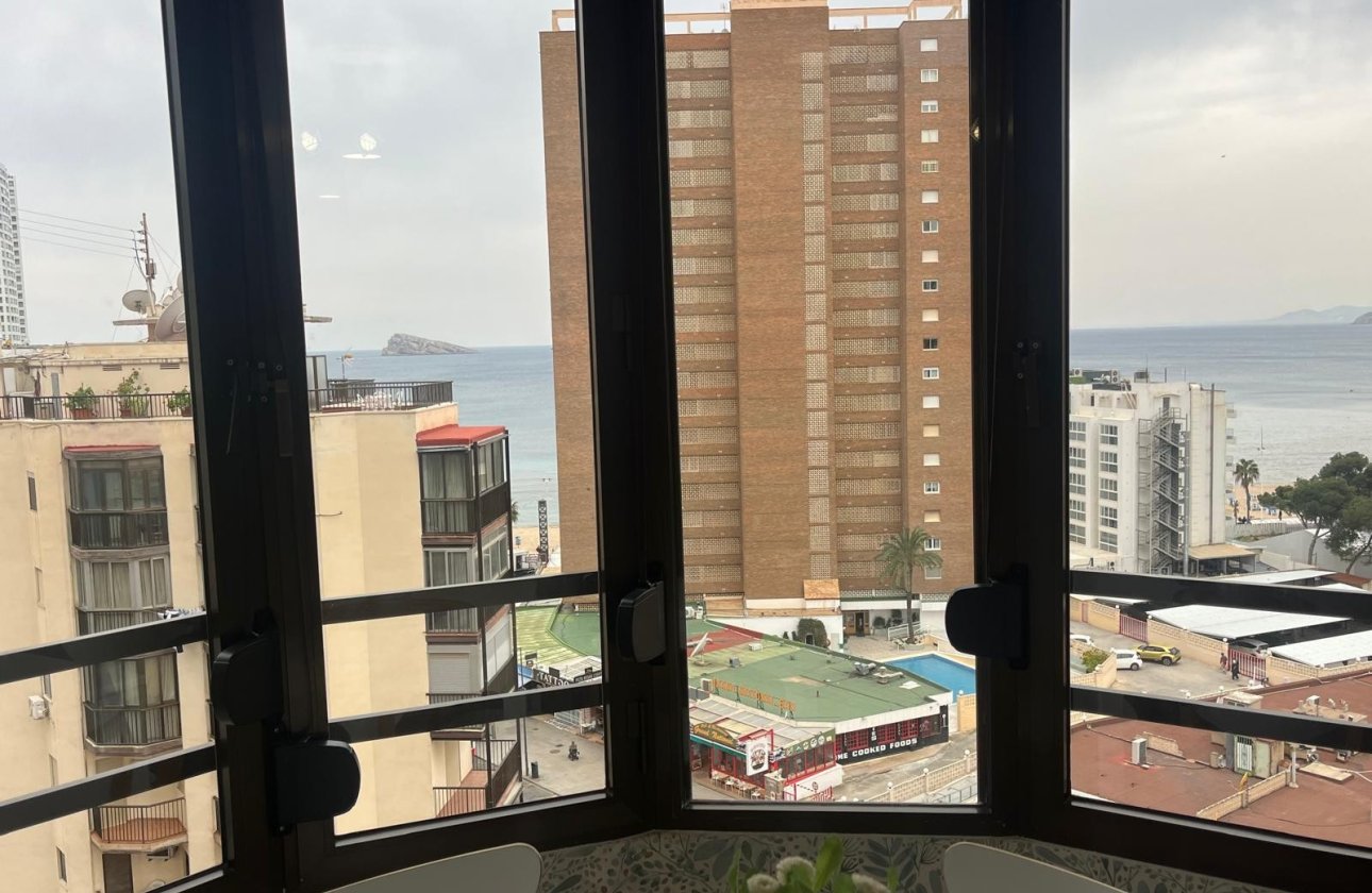Resale - Studio - Benidorm - Levante