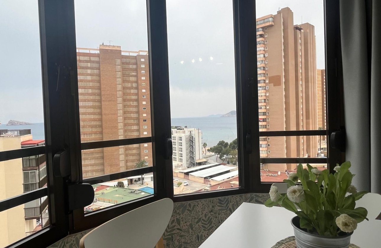 Resale - Studio - Benidorm - Levante