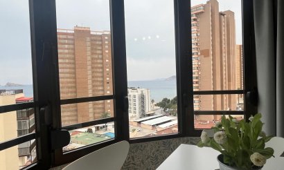 Resale - Studio - Benidorm - Levante