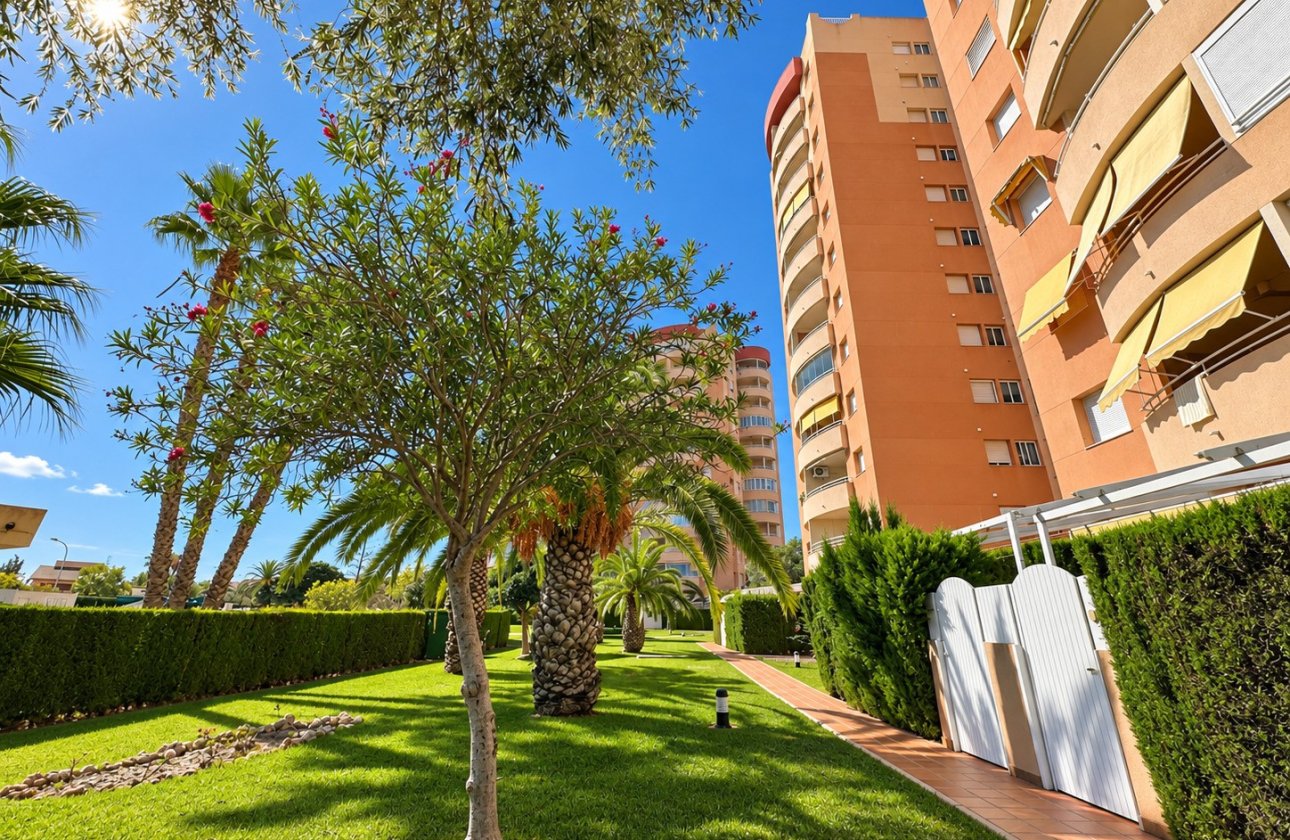 Resale - Apartment / flat - Orihuela Costa - Campoamor
