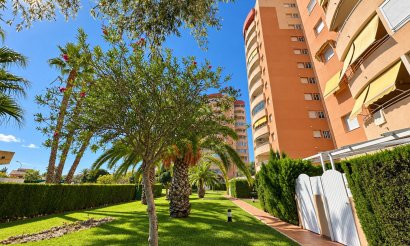 Resale - Apartment / flat - Orihuela Costa - Campoamor