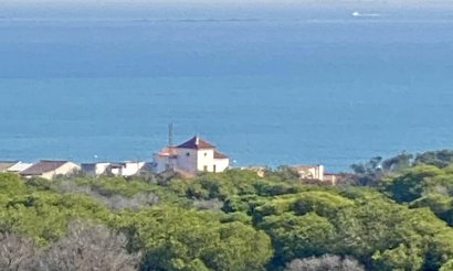 Nouvelle construction - Appartement - Guardamar del Segura - Centro