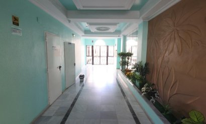 Resale - Penthouse - Torrevieja - Estacion de autobuses