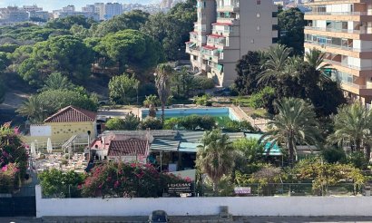 Resale - Studio - Guardamar del Segura - Lomas de Polo-Pinomar
