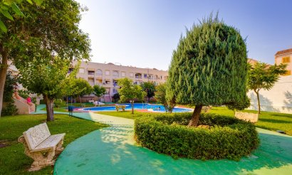 Resale - Penthouse - Torrevieja - Playa del Acequión