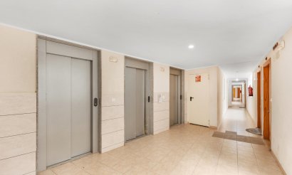 Reventa - Apartamento / piso - Torrevieja - El Molino