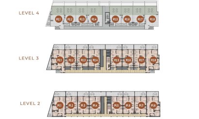 New Build - Penthouse - Torrevieja - Los Frutales