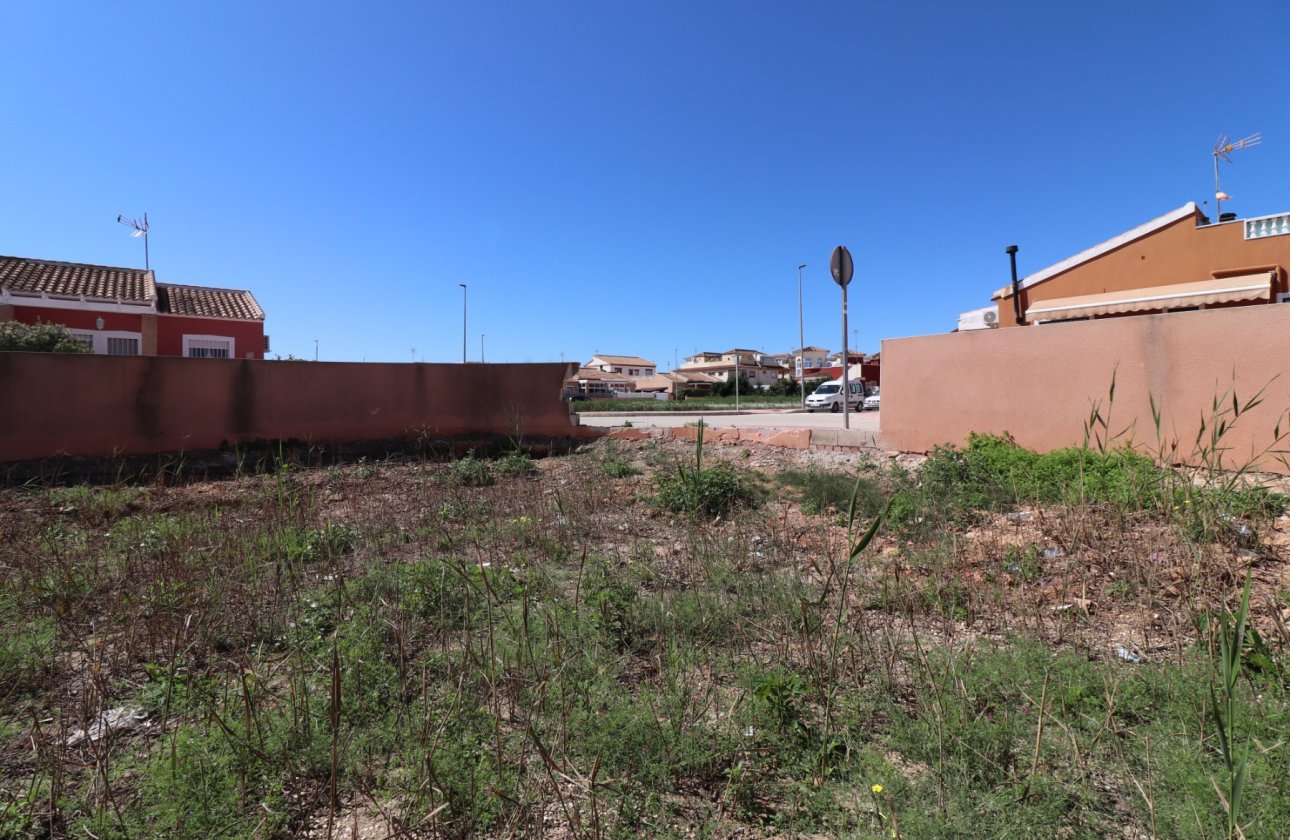 Resale - Plot / Land - Daya Nueva - Daya Nueva - Town