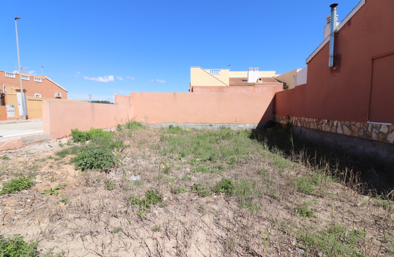 Resale - Plot / Land - Daya Nueva - Daya Nueva - Town