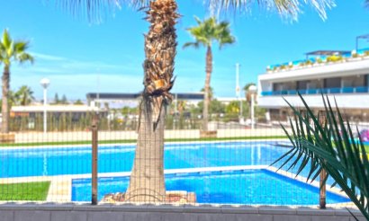 Reventa - Adosado - Torrevieja - Los Balcones - Los Altos del Edén