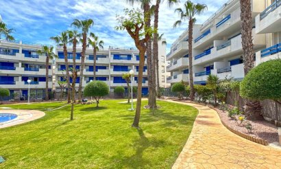 Reventa - Apartamento / piso - Orihuela Costa - Playa Flamenca