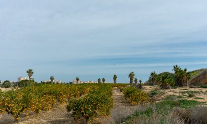 Revente - Villa - Torrevieja - Los Altos