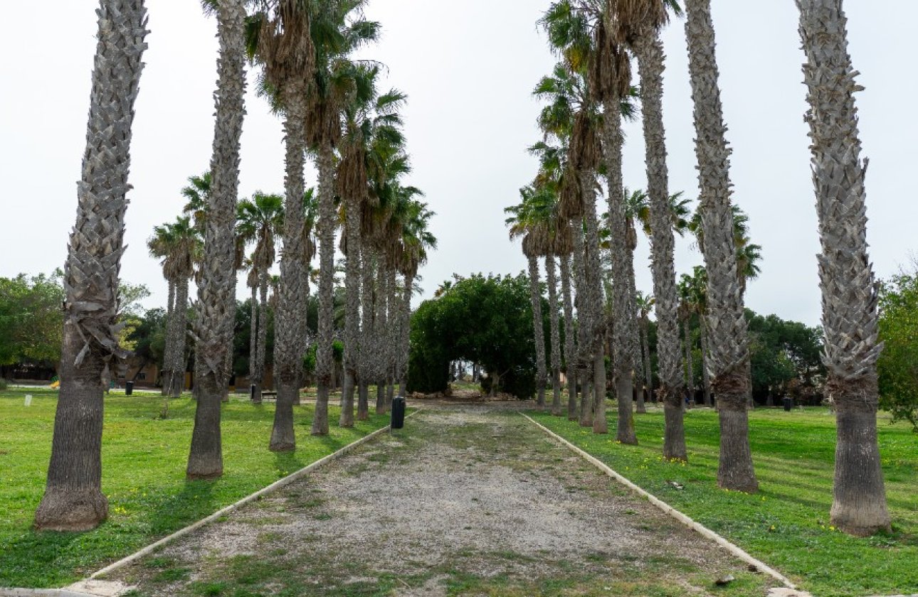 Revente - Villa - Torrevieja - Los Altos