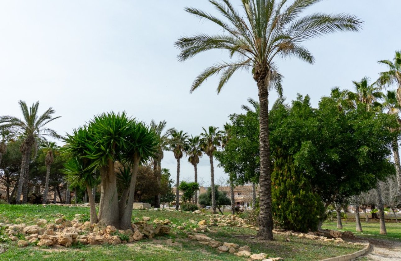Revente - Villa - Torrevieja - Los Altos