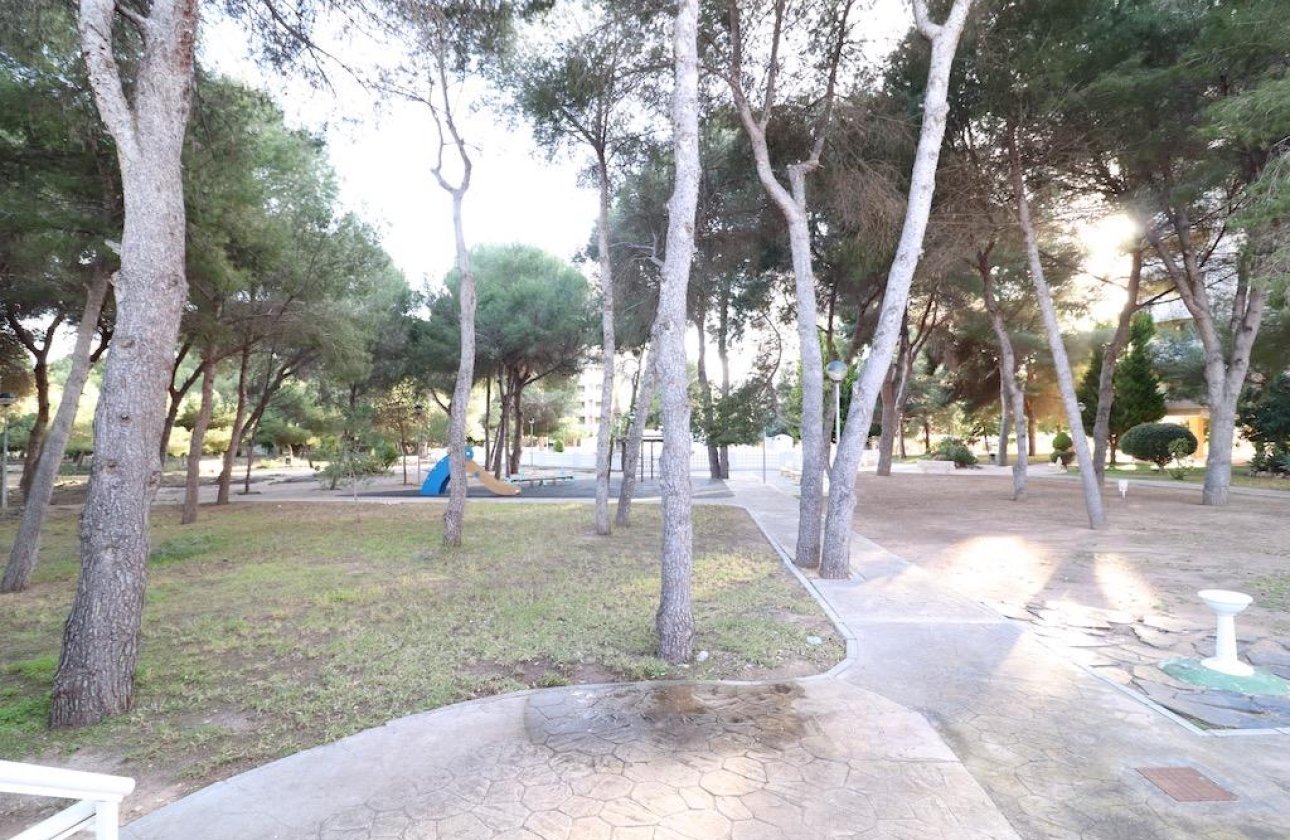 Resale - Apartment / flat - Orihuela Costa - Campoamor