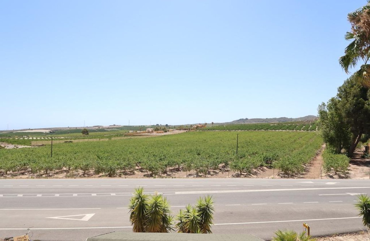 Resale - Hotel - San Miguel de Salinas - Urbanizaciones