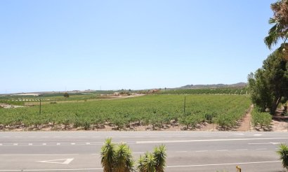 Resale - Hotel - San Miguel de Salinas - Urbanizaciones