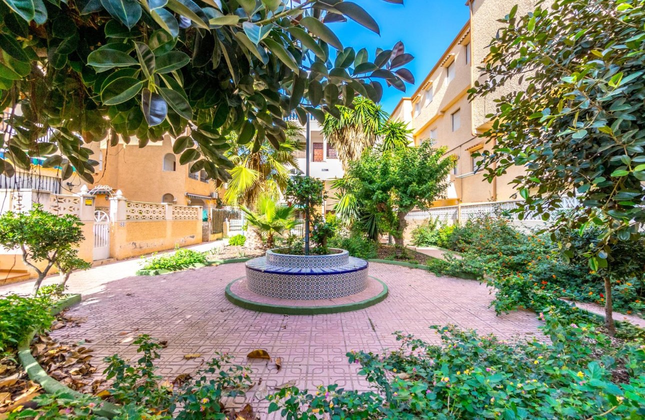Reventa - Apartamento / piso - Torrevieja - Los Europeos