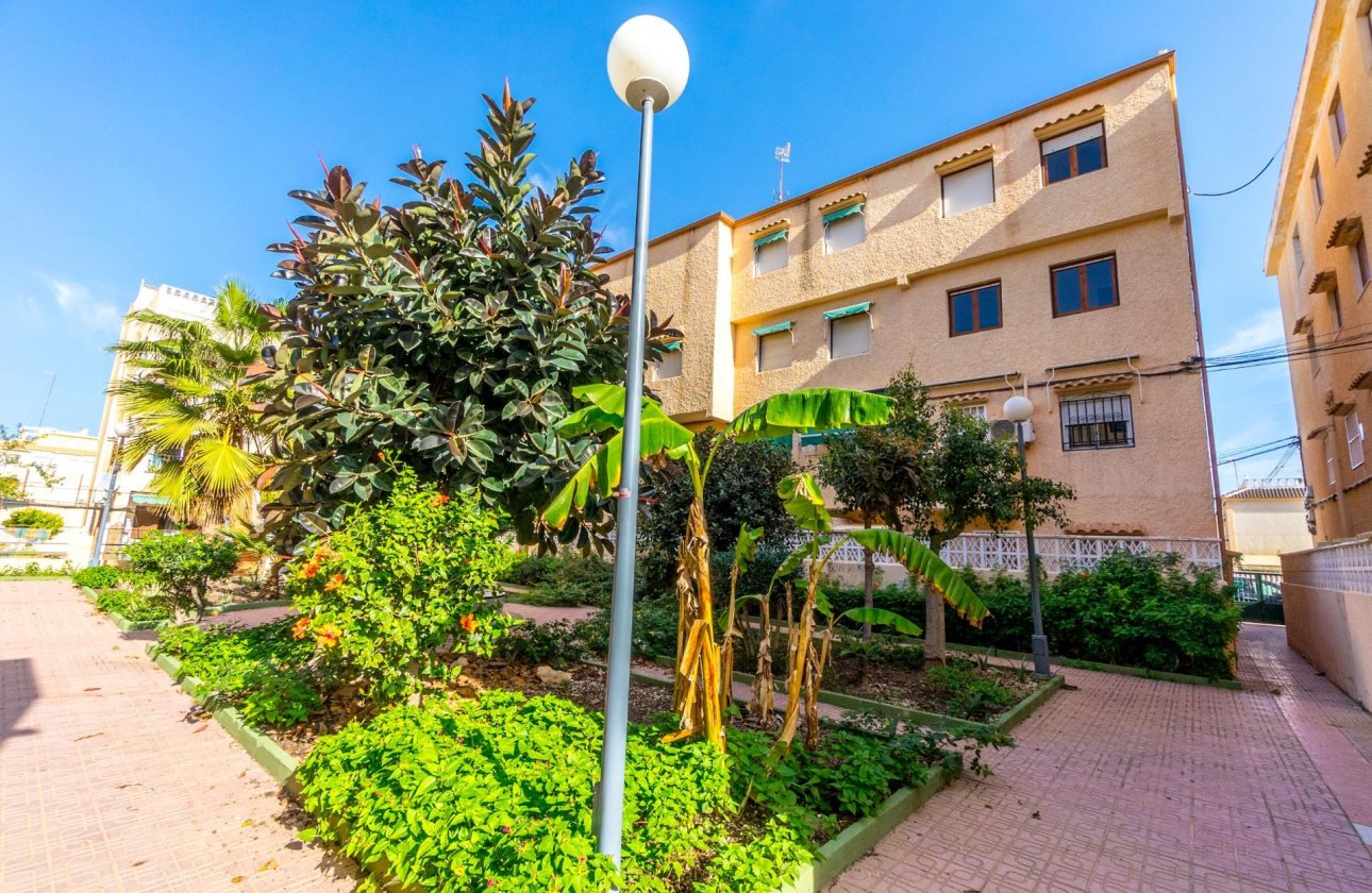 Reventa - Apartamento / piso - Torrevieja - Los Europeos