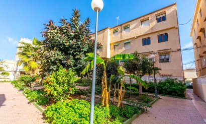 Reventa - Apartamento / piso - Torrevieja - Los Europeos
