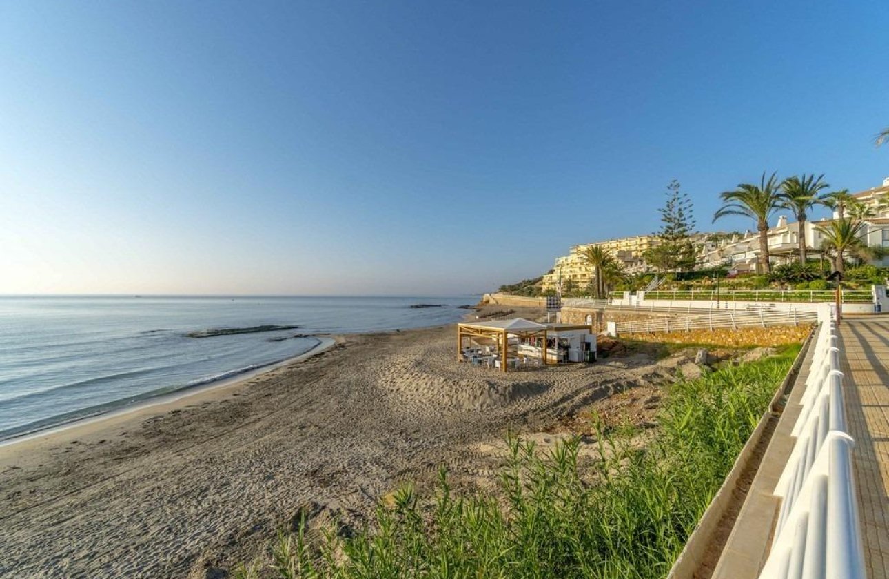 Reventa - Adosado - Orihuela Costa - Campoamor