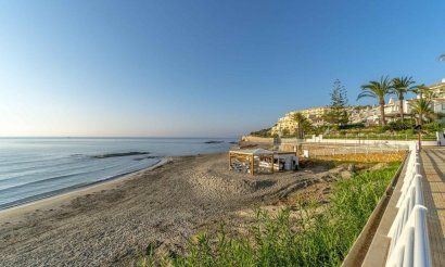 Reventa - Adosado - Orihuela Costa - Campoamor