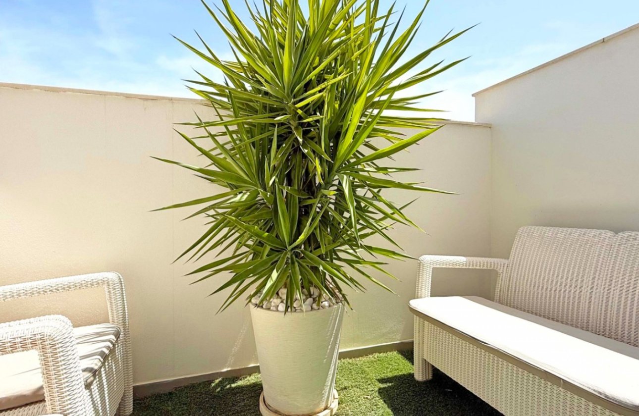 Reventa - Adosado - Orihuela Costa - Villamartín