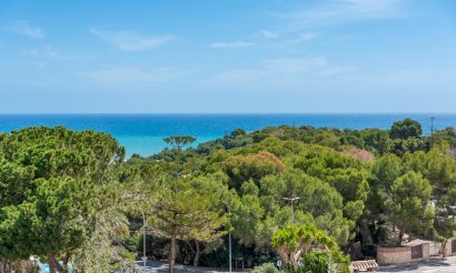 Revente - Appartement - Orihuela Costa - Campoamor