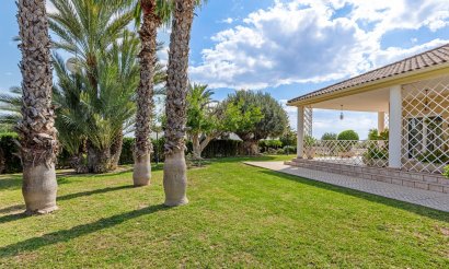Reventa - Villa - Elche - Elche/Elx