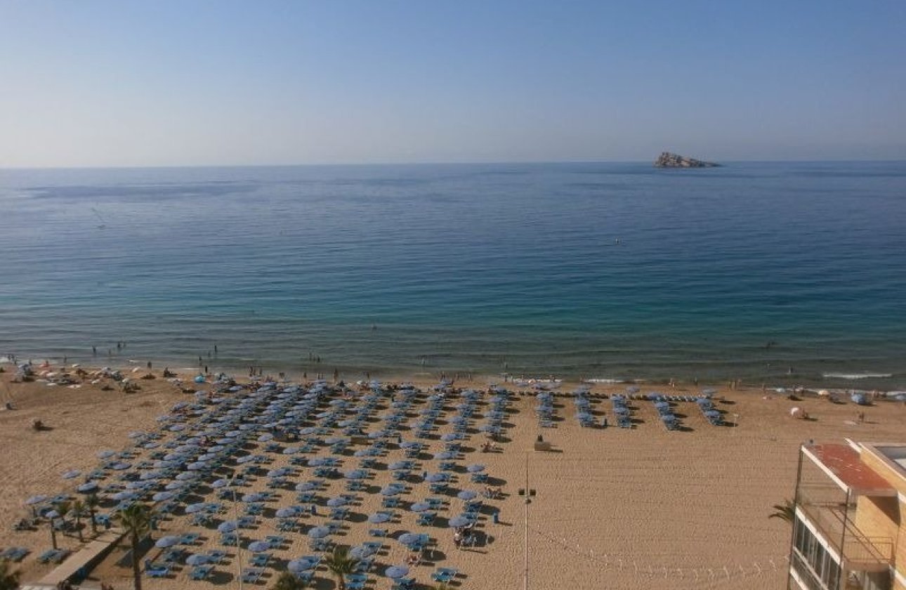 Reventa - Apartamento / piso - Benidorm - Levante