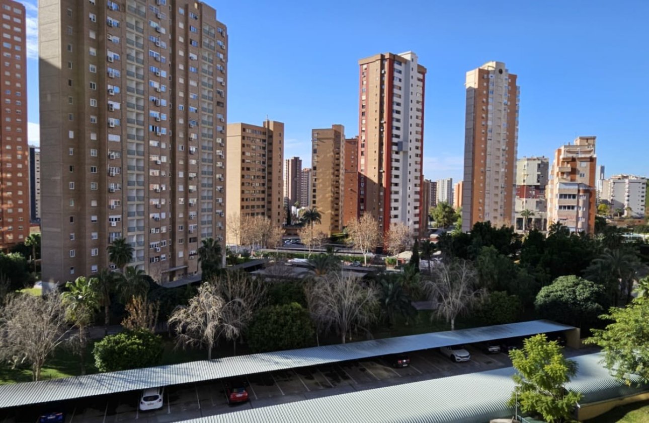 Reventa - Apartamento / piso - Benidorm - Juzgados