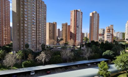 Reventa - Apartamento / piso - Benidorm - Juzgados